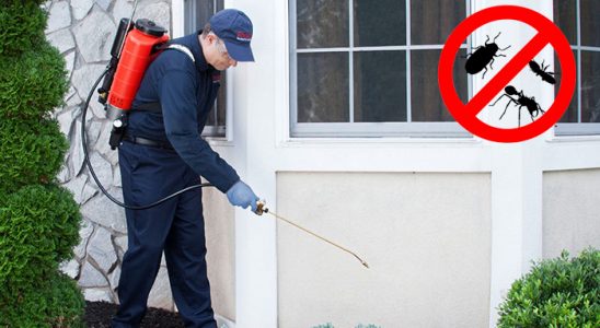 Finike Karınca İlaçlama böcek ilaçlama ve haşere kontrolü — ilaclama-tr.com